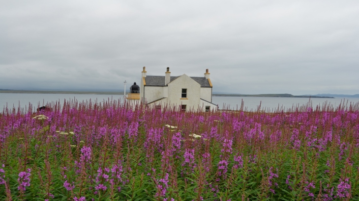 House and flowers on the Loch Indaal Way