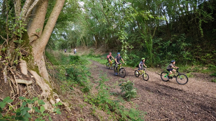 Two adults and two children are cycling on the Lias Line greenway in Warwickshire. Three people on foot are in the distance behind them. The path is unsealed, like a woodland floor, behind is a high embankment of trees and foliage. In the foreground is another prominent tree trunk.