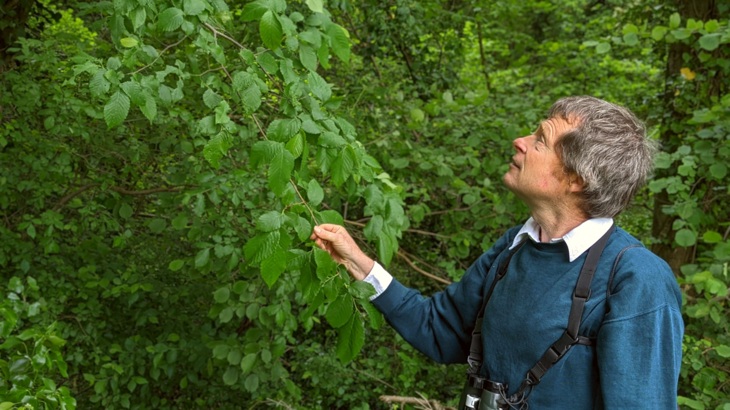 Walk Wheel Cycle Trust ecology volunteer Will Duckworth Looking interestedly at A Tree Branch