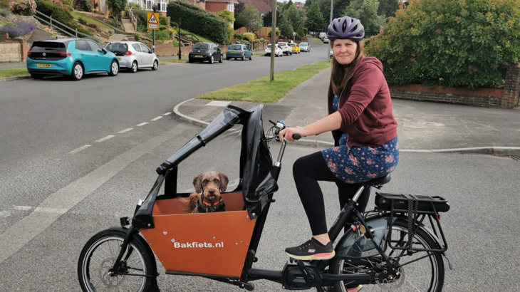 A brown, curly haired, medium sized dog looks out of the front of a cargo bike. The bike is being ridden by a woman wearing a cycle helmet. The pair are stopped at a 'T' junction in a residential area, both are looking at the camera. In the background are detached houses, mature gardens, green verges and parked cars.