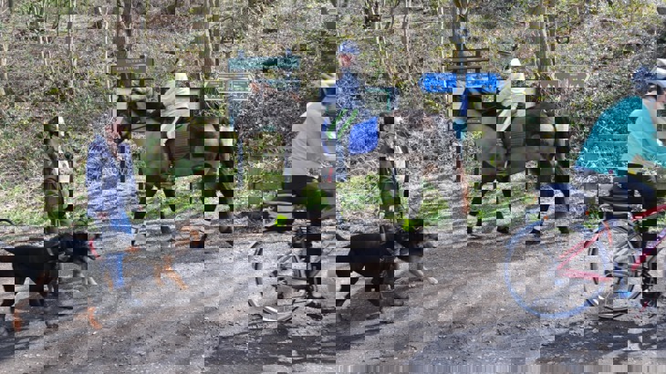 Dog walker with two dogs, horse rider and cyclist on traffic-free path in woods