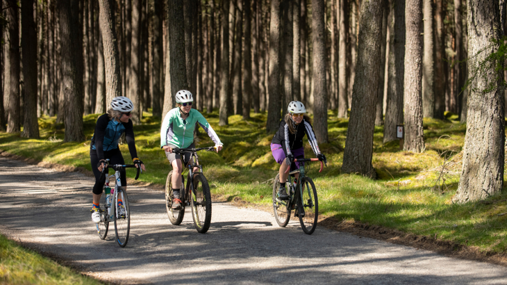 Three females cycling, one on a road bike, two on mountain bikes. They are on a quite country lane in a pine tree forest. The day looks bright and mild.