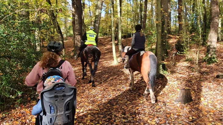 A woman on a cycle with a baby seat on the back in a woodland setting with sun shining through the trees, there are two horse riders in front of her