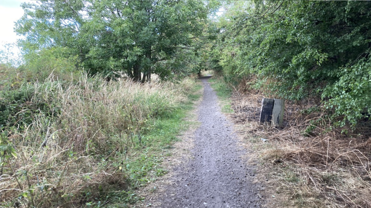 The photo shows a grey, gravelly path running through the middle, lined with overgrown shrubbery and trees.