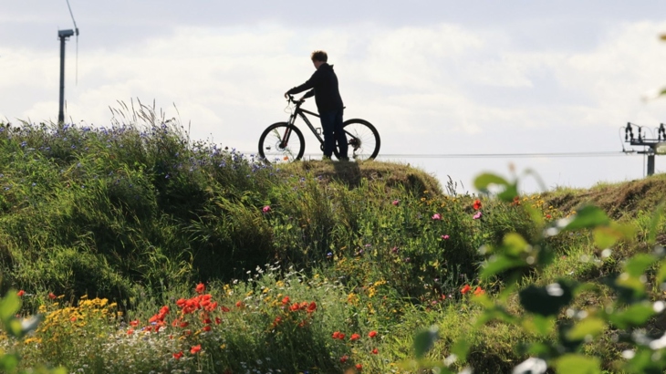 Person with bike looks over Arcadia Park in Kirkwall, Orkney.