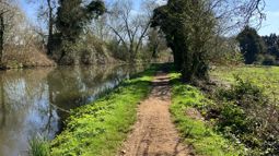 Canal towpath before works. Narrow mud path, lined with grass, next to a canal.