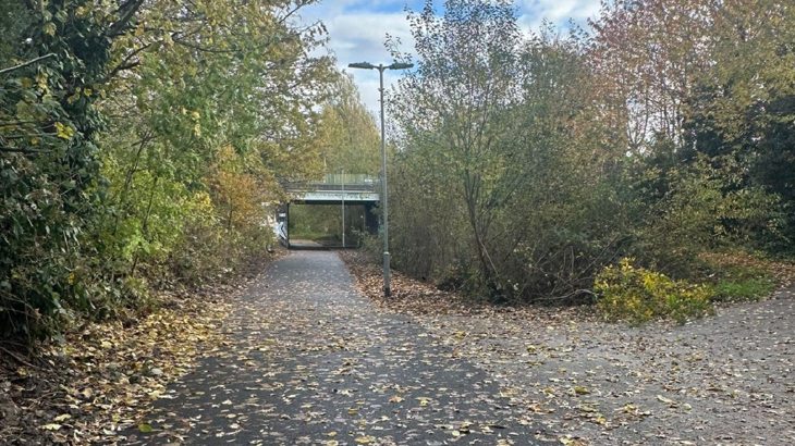 An image of the leafy St. Werbugh's to Withington Road route in Manchester.