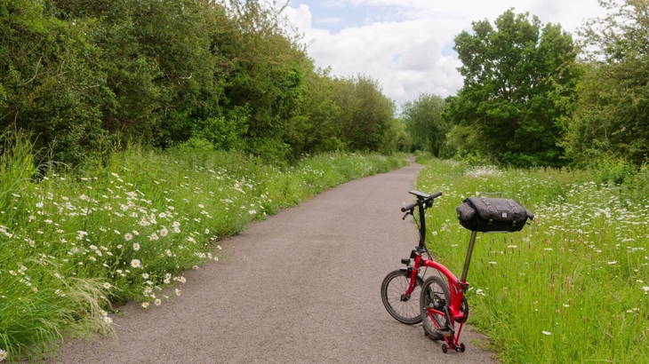 A folding cycle parked on the side of the Lias Line path. On either side are lots of white and yellow wildflowers thriving, with greenery surrounding