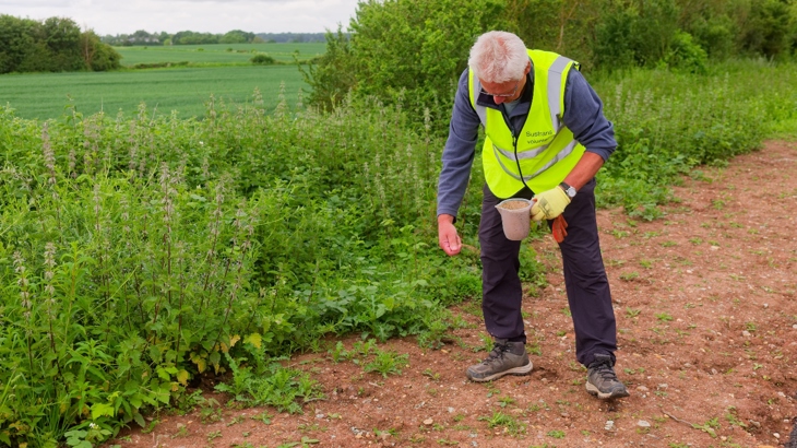 A Walk Wheel Cycle Trust volunteer bending down to scatter and sow wildflower seedlings. They are wearing a high visibility jacket.