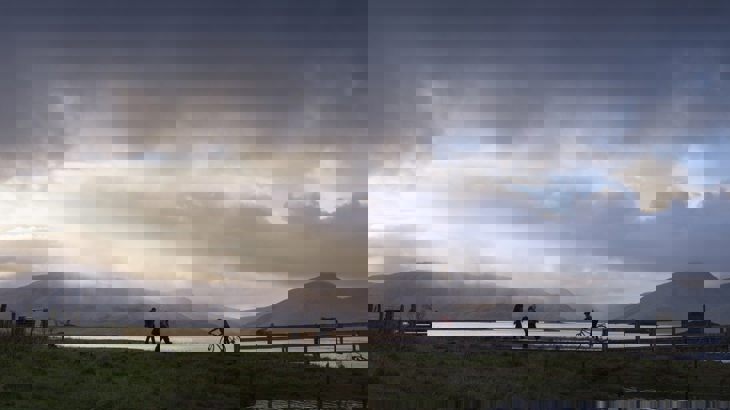 A Cyclist And Walkers On Caledonia Way 