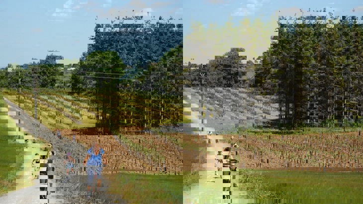 Family of cyclists on gravel track going past orchard