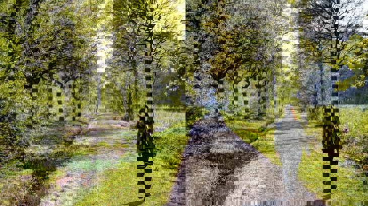 Person with backpack walking on gravel track through sunny woods