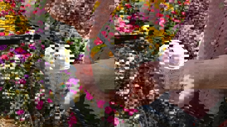 Someone holding ice-cream with bike and flowers in background