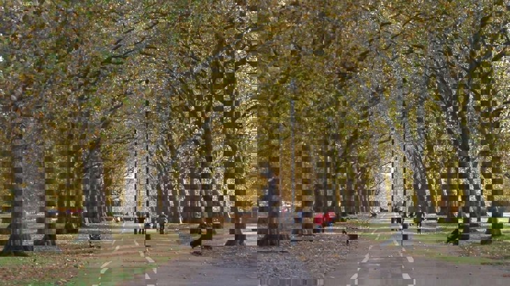 Cycling and walking path through a park