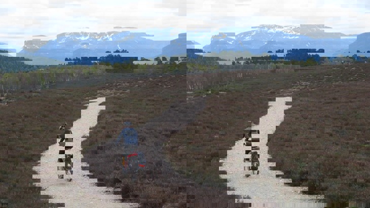 Cyclist on gravel path  with heather either side, plus forest and mountains in the distance