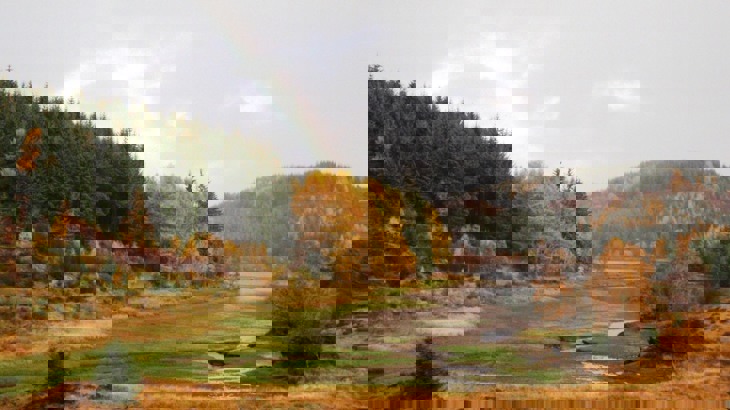 View of hills covered with pine trees and edges of loch visible, rainbow in the sky
