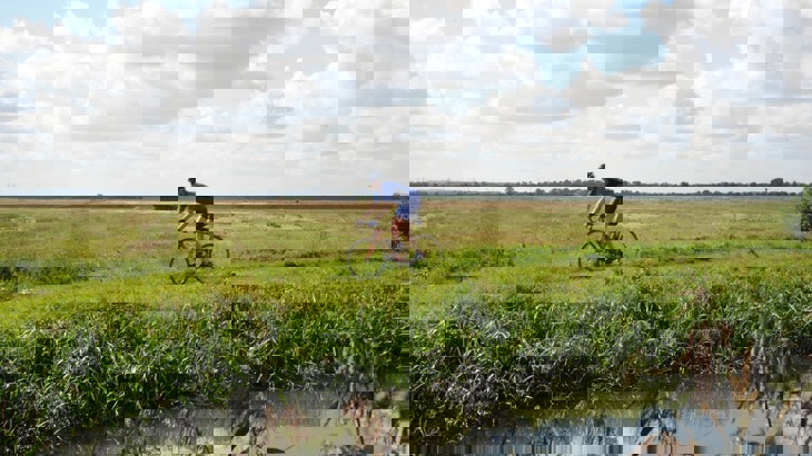 Road cyclist in blue great cycling along path by canal with flat green fields behind 