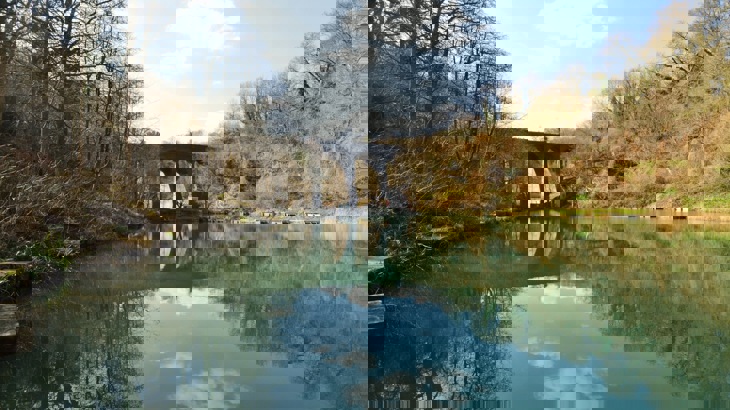 Body of water with viaduct and trees