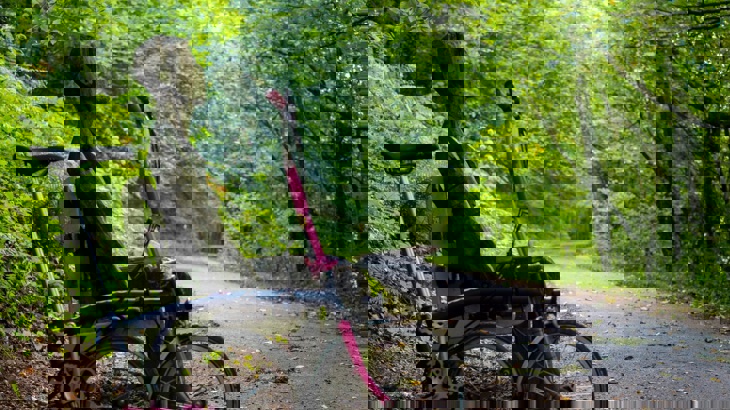 Fold-up bike leaning against bench with wooden sculpture in shape of person, by asphalt path in woodland