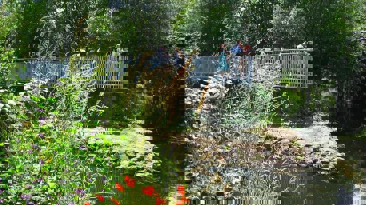 Viewing platform with people on it suspended above river with trees and greenery