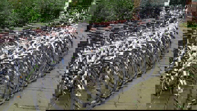 Row of hire bikes outside university building