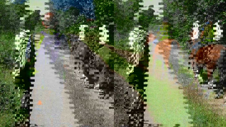 Person cycling passing by two horse riders on a traffic-free route