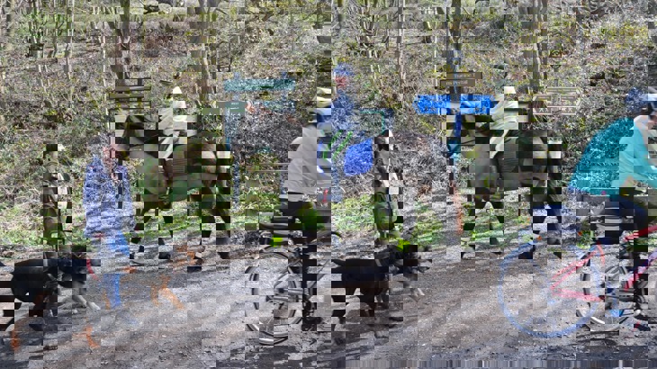 Dog walker with two dogs, horse rider and cyclist on traffic-free path in woods