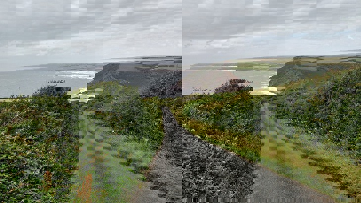 Views along National Route 3 in Millook