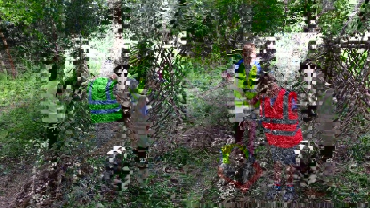 Children building dens in woods