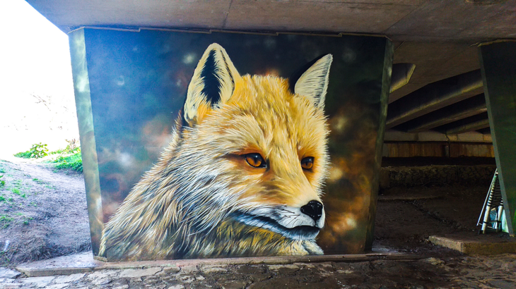 A fox's face is painted in detailed and vibrant colour on a tunnel in Almondbank