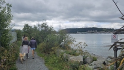 Two adults walking along NCN 5 besides Afon Conwy with a dog and Conwy Castle in the distance.