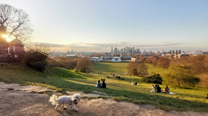 Greenwich Park rolling towards the distant skyline of London. There's a small, white dog in the foreground and people spread out on the hillside enjoying picnics. 