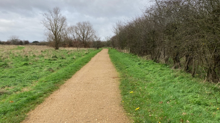 Path designed by Walk Wheel Cycle Trust and constructed during previous project at Fairlop Waters Country Park. Appears to be in good condition after ten years of use.
